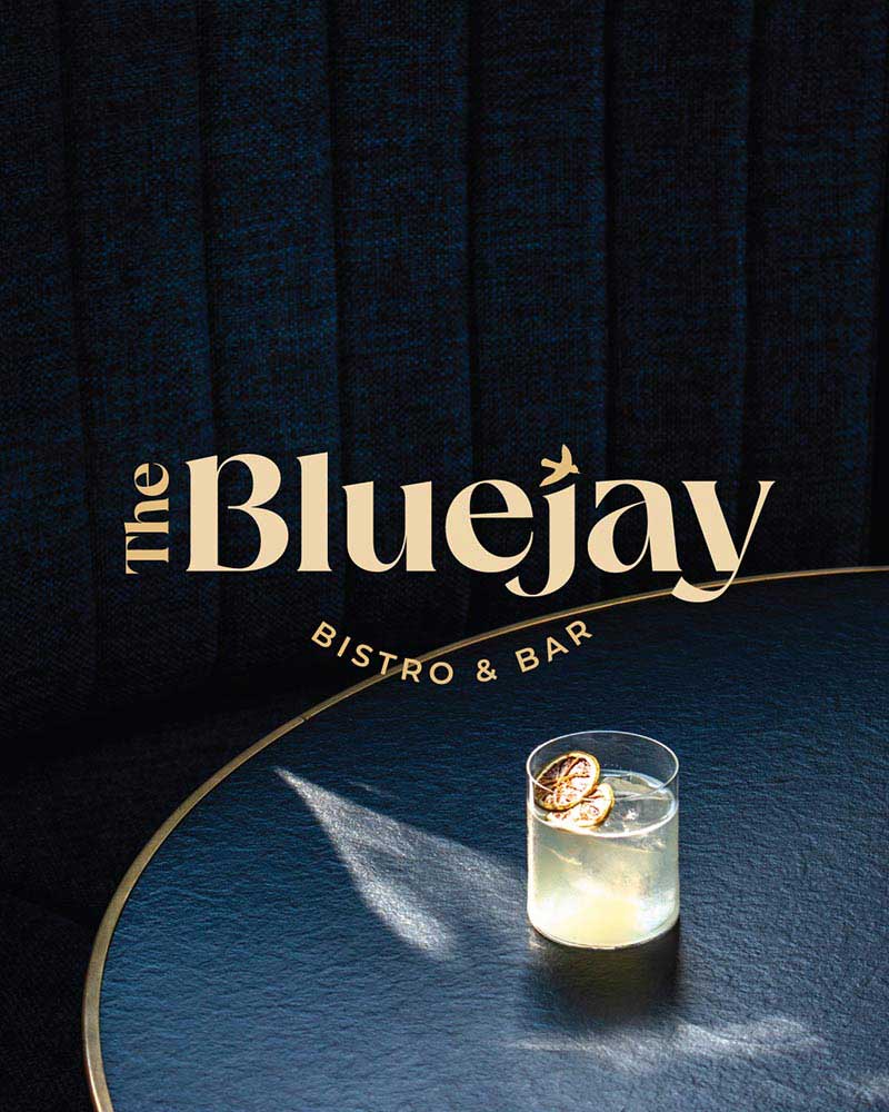 Bluejay Branding Portfolio